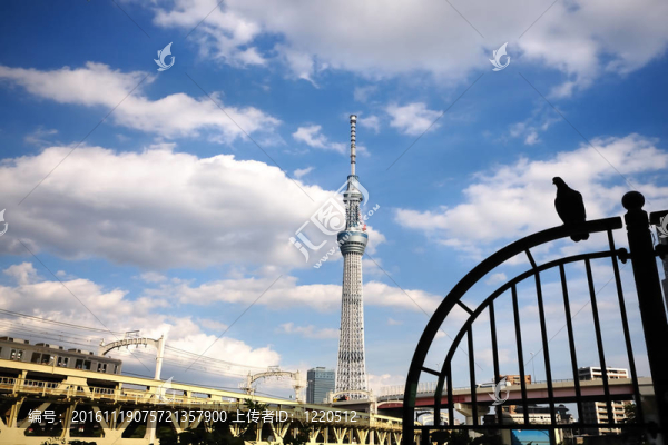 天空樹觀。