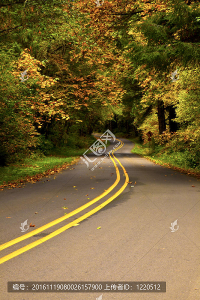 蜿蜒的道路