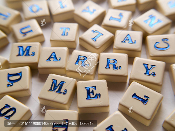 嫁給我（游戲）