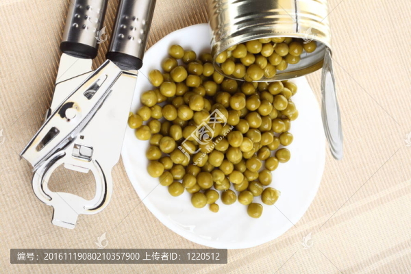 可以用罐裝豌豆罐頭；
