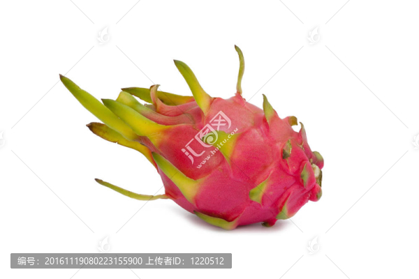 火龍果中分離