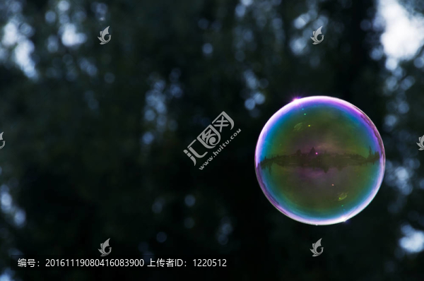 肥皂泡沫飛在樹前