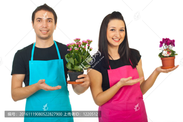 花店員工展示他們的植物