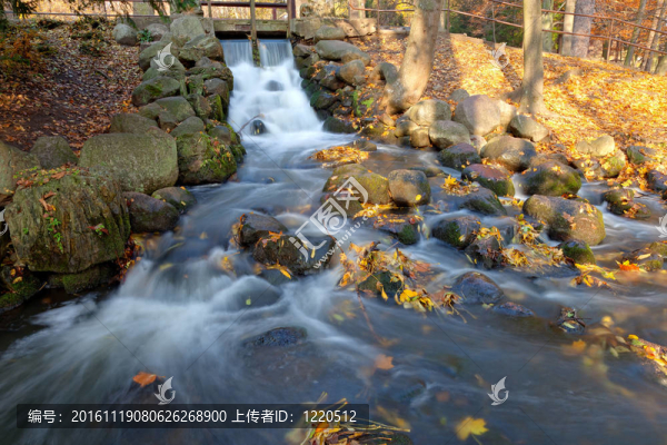 布魯克