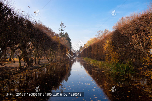 在Oliwa的公園