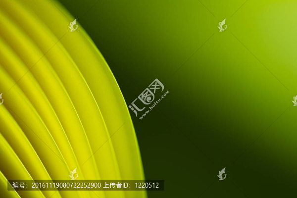 黃色紙綠色背景