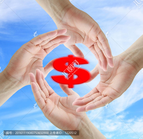 儲(chǔ)蓄美元的概念