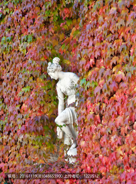 秋葉之墻中的女人雕塑-匯圖網(wǎng) www.fosd68.com 秋葉之墻中的女人雕塑