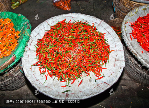 鮮辣椒為花卉市場唐人街在曼谷
