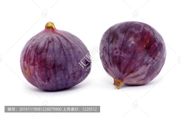 無(wú)花果