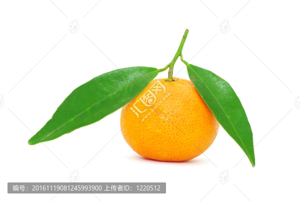 Tangerine夜店