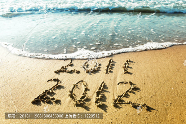 新的一年2012
