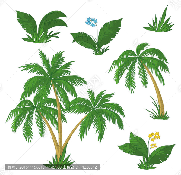 棕櫚樹；花和草