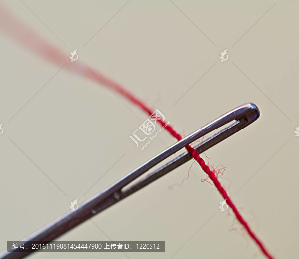 針之眼