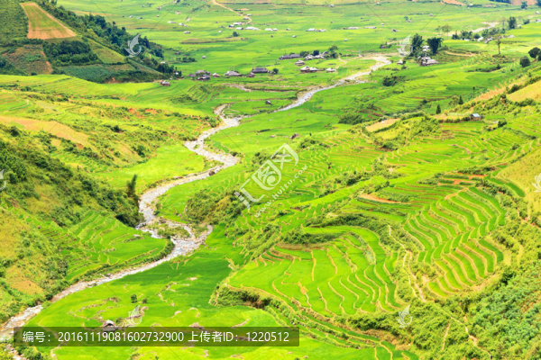 山區(qū)河流