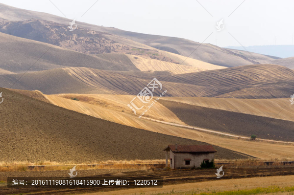 普利亞和巴斯利卡塔大區(qū)之間（意大利）：夏天的鄉(xiāng)村景觀