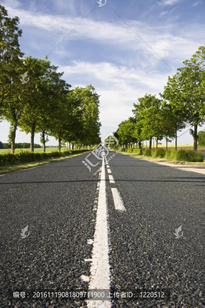 夏天的路-匯圖網(wǎng) www.fosd68.com 夏天的路