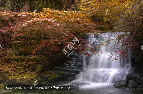 瀑布流經(jīng)秋季秋季森林景觀