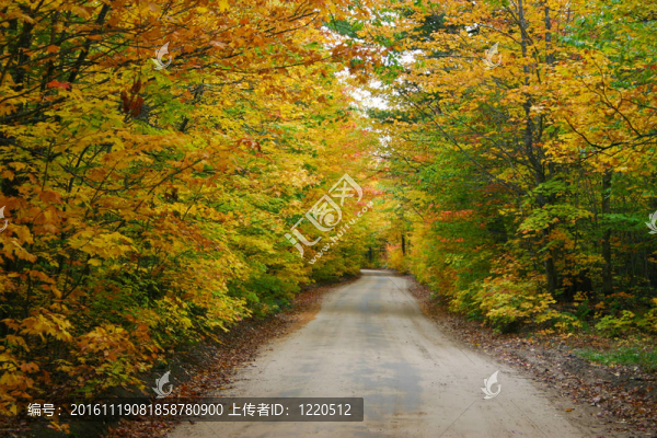 豐富多彩的鄉(xiāng)村路