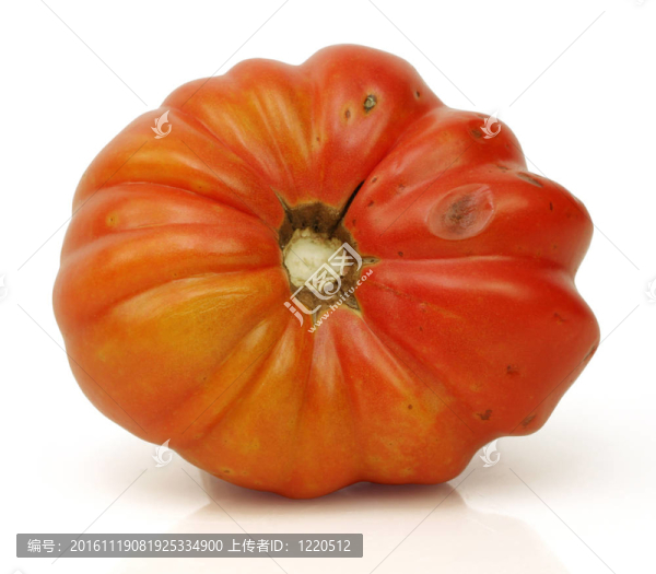 最后一個西紅柿