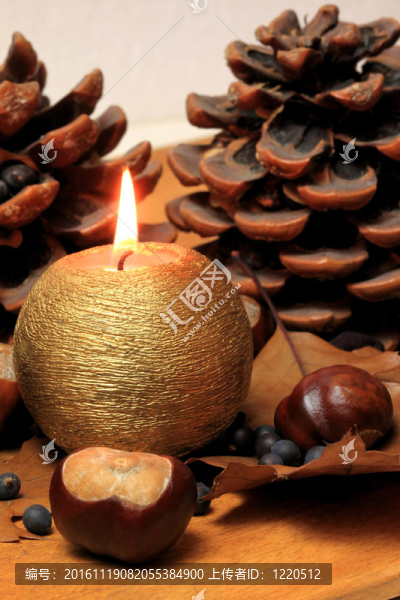 秋季裝修-匯圖網(wǎng) www.fosd68.com 秋季裝修