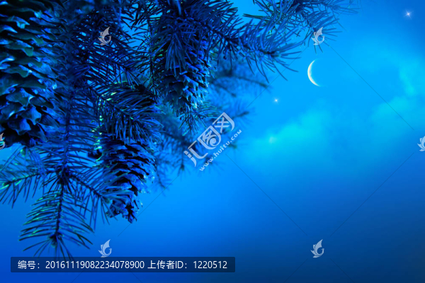 一個(gè)藍(lán)色夜空背景下的圣誕樹藝術(shù)樹枝