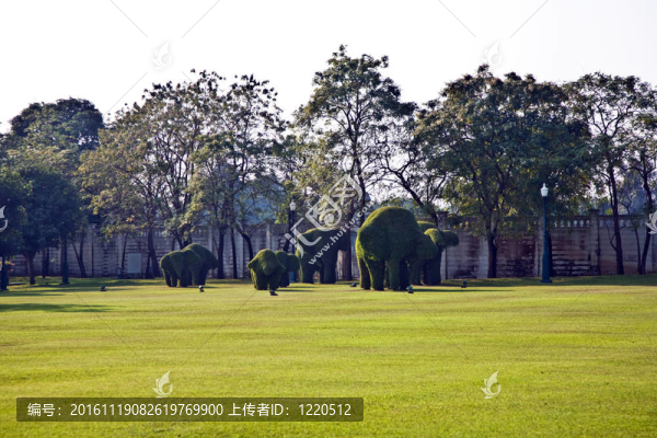 灌木砍到動物的數(shù)字在公園里