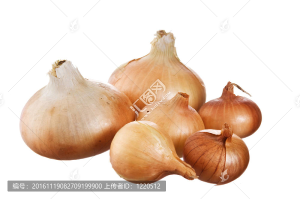 電燈泡-匯圖網(wǎng) www.fosd68.com 電燈泡