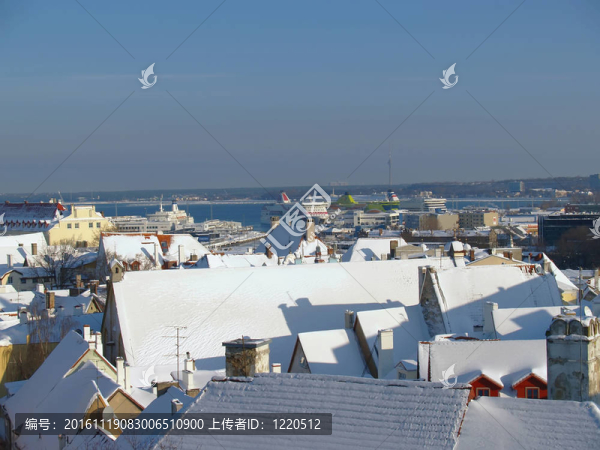 舊塔林屋頂上的新鮮雪
