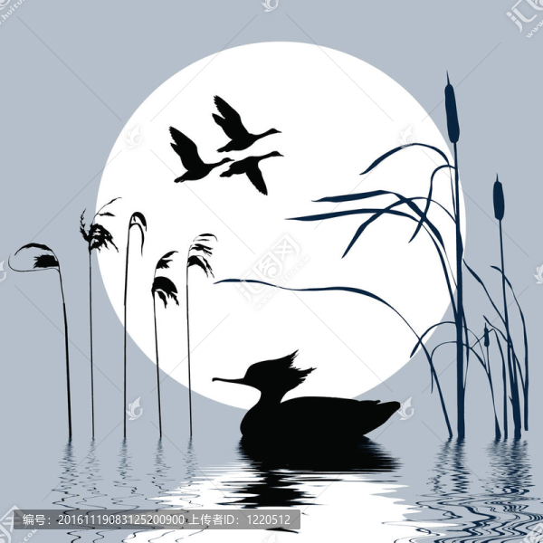 鳥類背景下的鳥畫圖