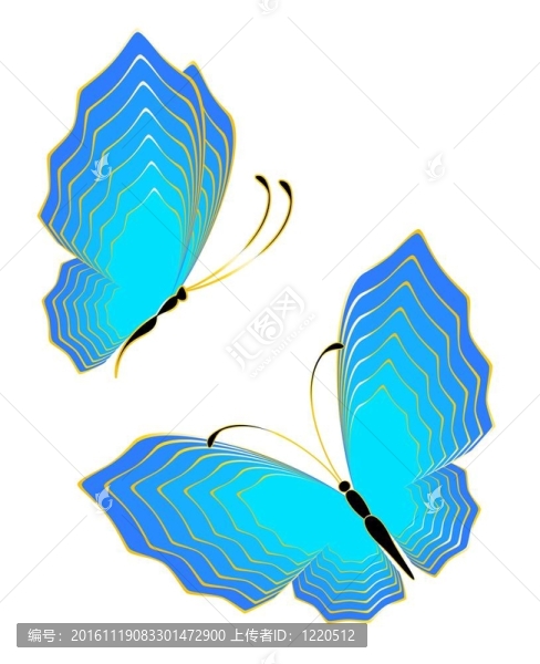 美麗的蝴蝶