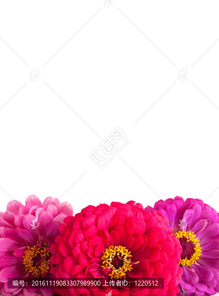 花瓣