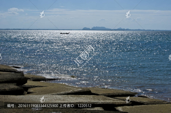 蘇珊海貝殼化石海灘墓地