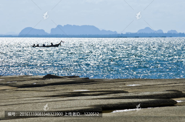 蘇珊海貝殼化石海灘墓地