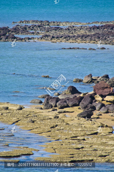 蘇珊海貝殼化石海灘墓地