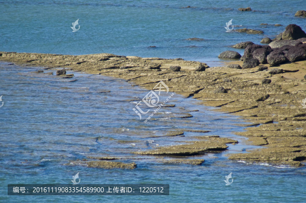 蘇珊海貝殼化石海灘墓地