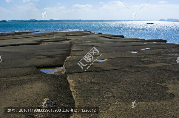 蘇珊海貝殼化石海灘墓地