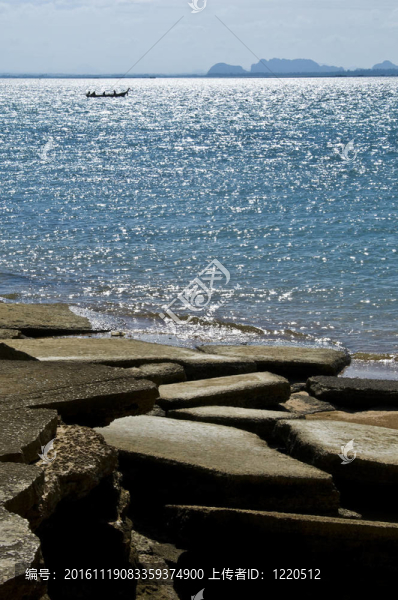 蘇珊海貝殼化石海灘cemete
