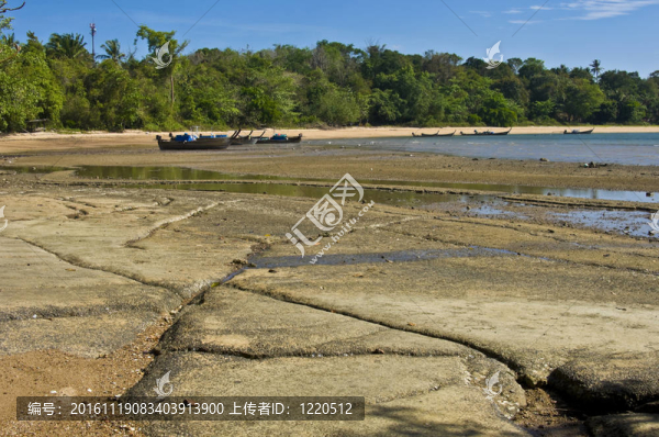 蘇珊海貝殼化石海灘cemete