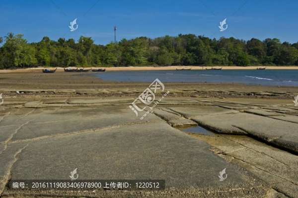 蘇珊海貝殼化石海灘墓地
