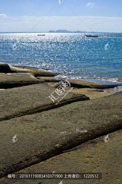 蘇珊海貝殼化石海灘墓地