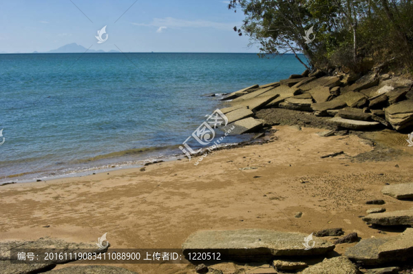蘇珊海貝殼化石海灘墓地