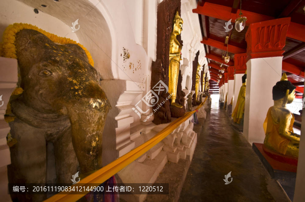 神圣的大象-匯圖網(wǎng) www.fosd68.com 神圣的大象