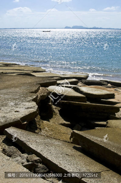 蘇珊海貝殼化石海灘墓地