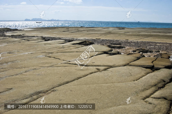 蘇珊海貝殼化石海灘墓地