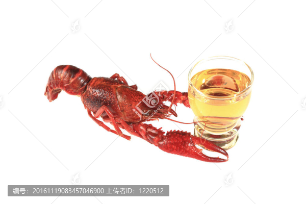 小龍蝦和伏特加-匯圖網(wǎng) www.fosd68.com 小龍蝦和伏特加