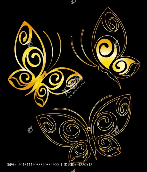 美麗的蝴蝶-匯圖網(wǎng) www.fosd68.com 美麗的蝴蝶