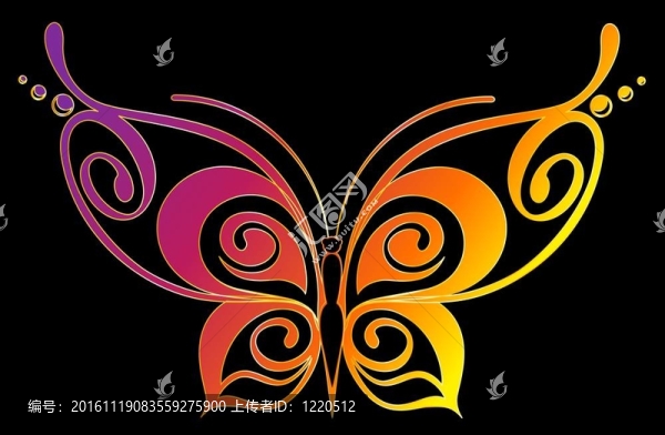 美麗的蝴蝶-匯圖網(wǎng) www.fosd68.com 美麗的蝴蝶