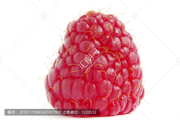 覆盆子-匯圖網(wǎng) www.fosd68.com 覆盆子