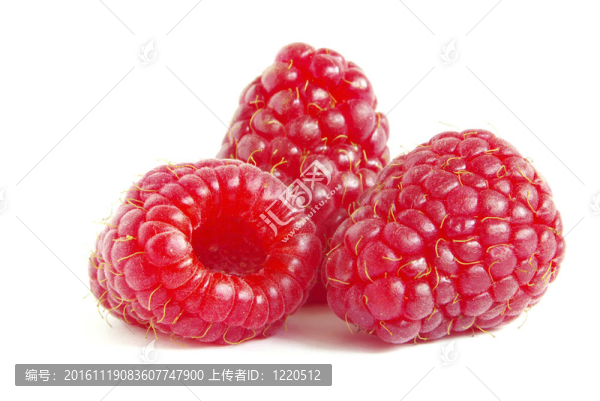 覆盆子-匯圖網(wǎng) www.fosd68.com 覆盆子